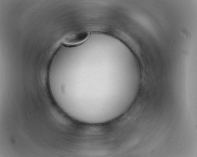 X0000114240107200910231532