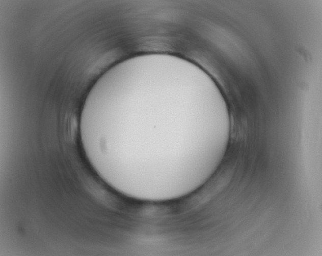 X0000114240109200910231532
