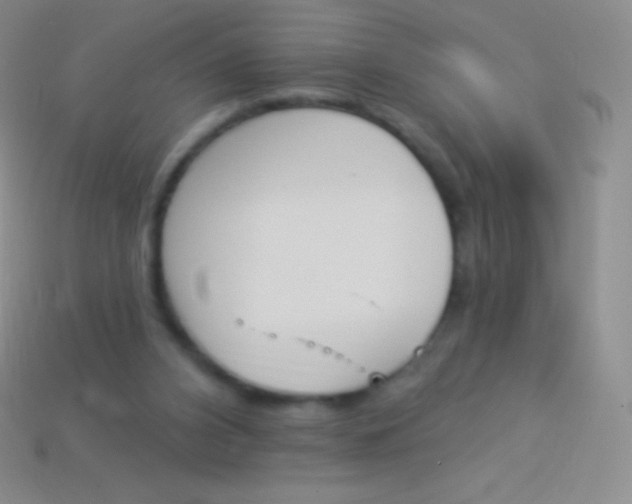 X0000114240112200910231532