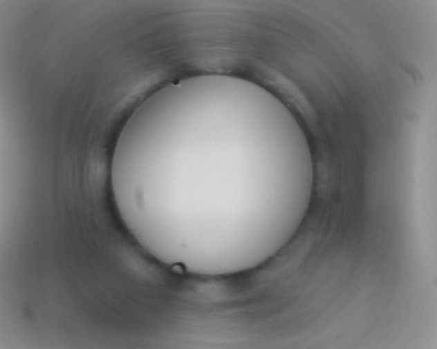 X0000114240113200910231532