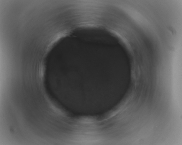 X0000114240115200910231532