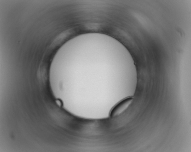 X0000114240116200910231532