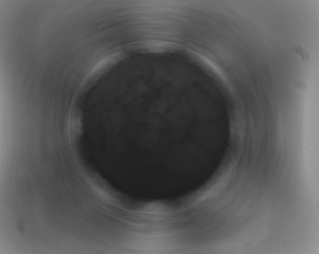 X0000114240119200910231532