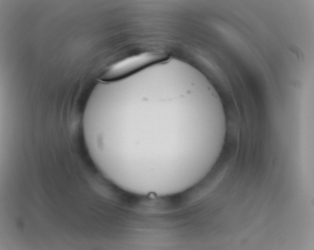 X0000114240125200910231532