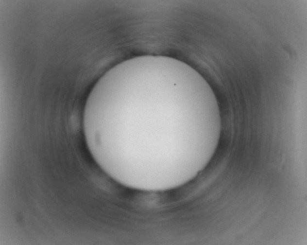 X0000114240131200910231532