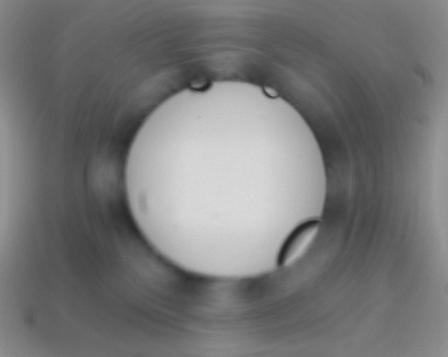 X0000114240136200910231532