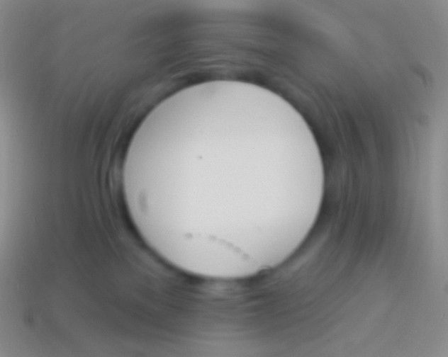 X0000114240137200910231532