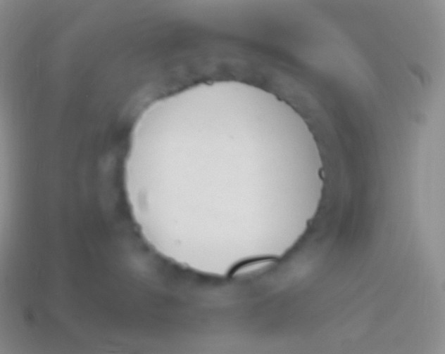 X0000114240144200910231532