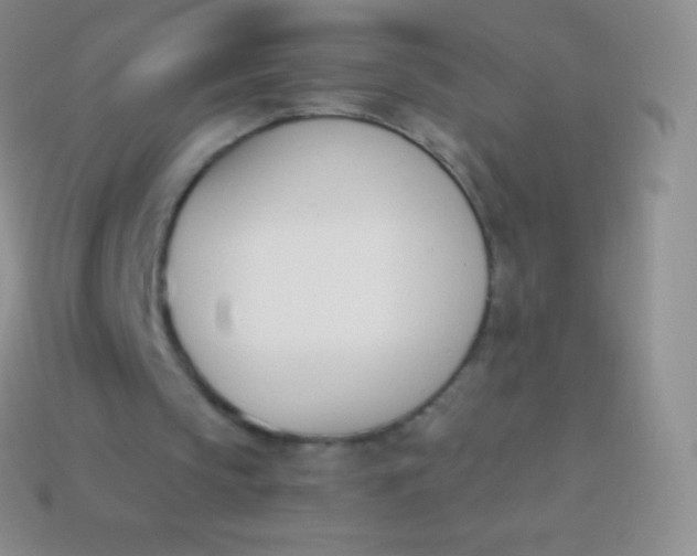X0000114240145200910231531