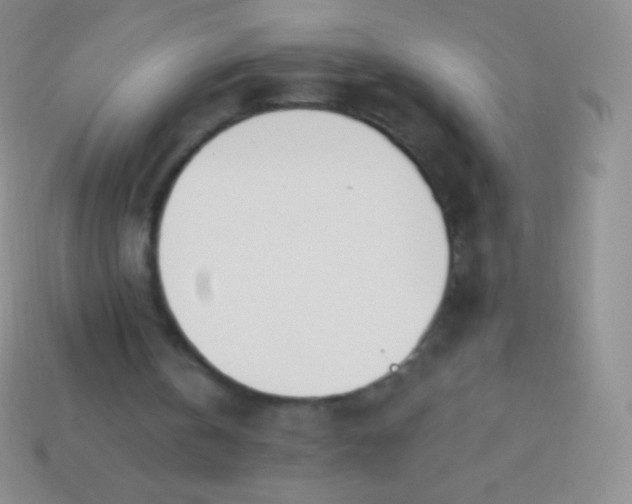 X0000114240146200910231531