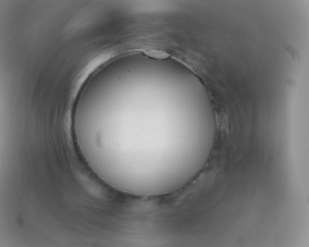 X0000114240148200910231531
