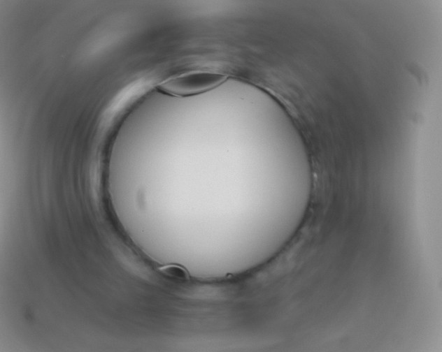 X0000114240149200910231531