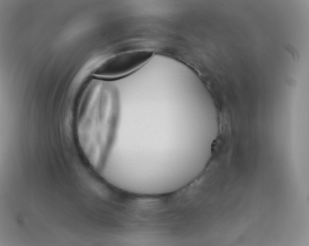 X0000114240150200910231531