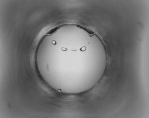X0000114240151200910231531
