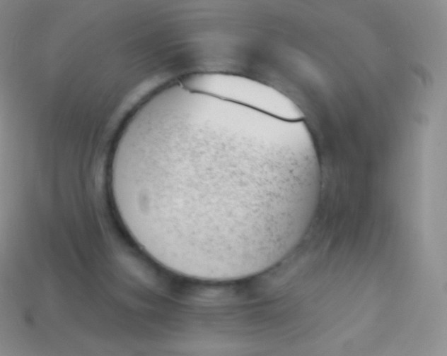 X0000114240155200910231531