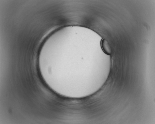 X0000114240156200910231531