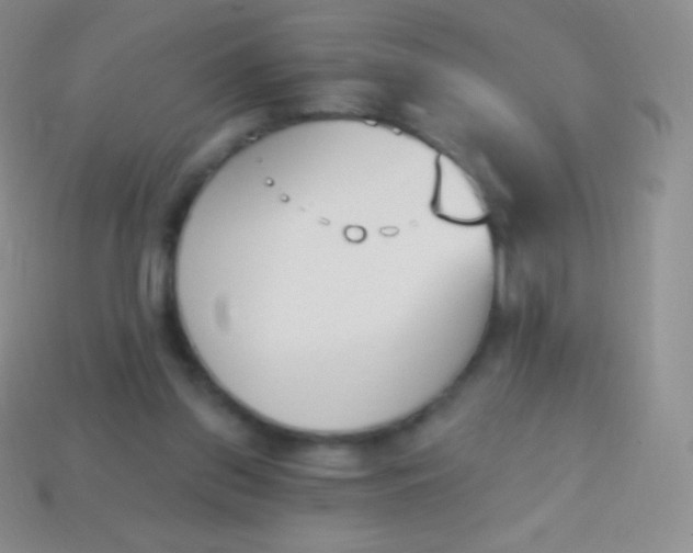 X0000114240157200910231531