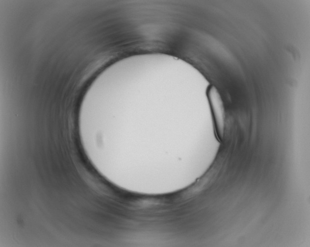 X0000114240158200910231531