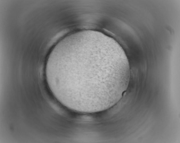 X0000114240159200910231531