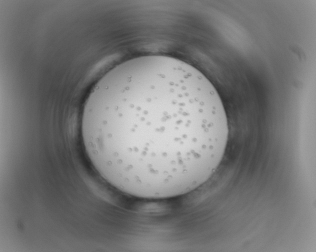 X0000114240163200910231531