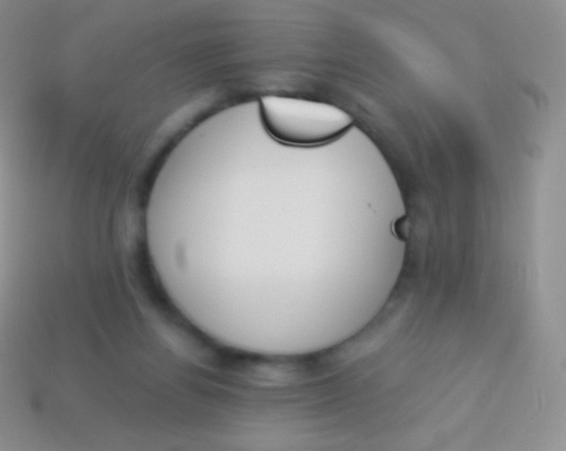 X0000114240164200910231531