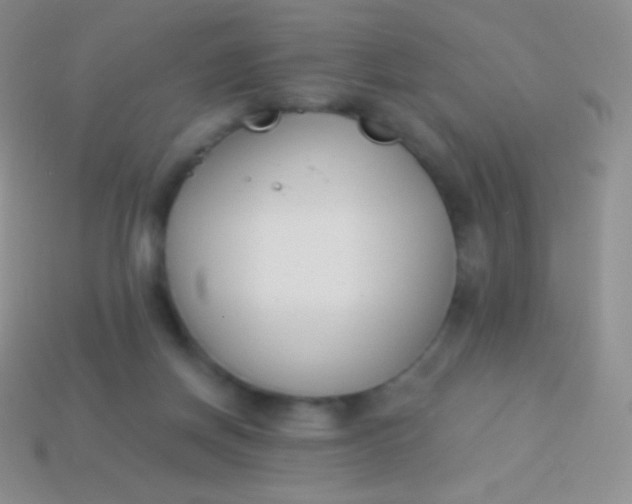 X0000114240166200910231531