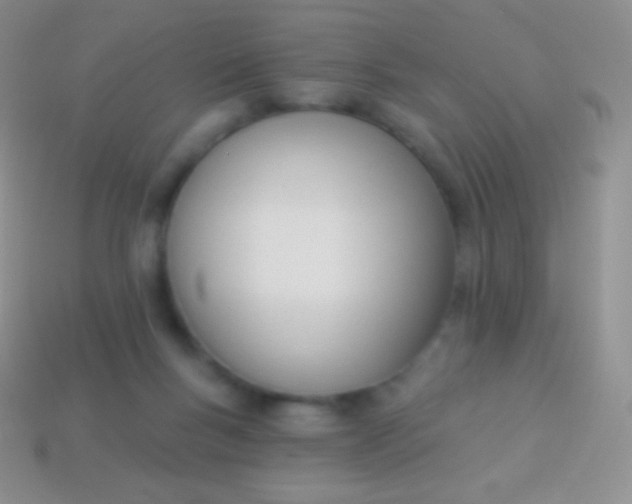 X0000114240167200910231531