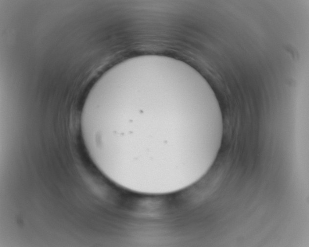X0000114240168200910231531