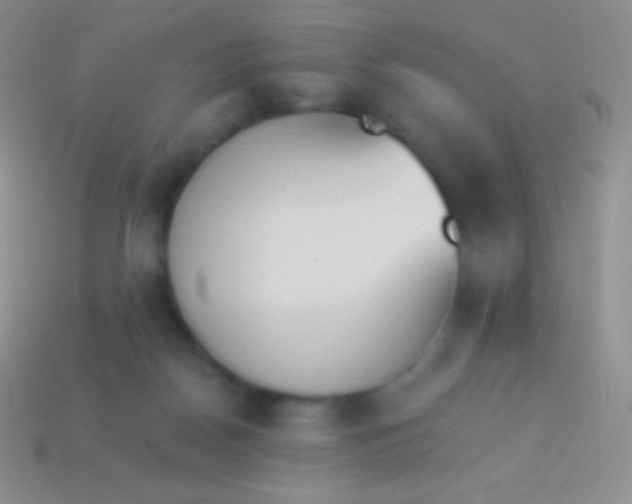 X0000114240170200910231531