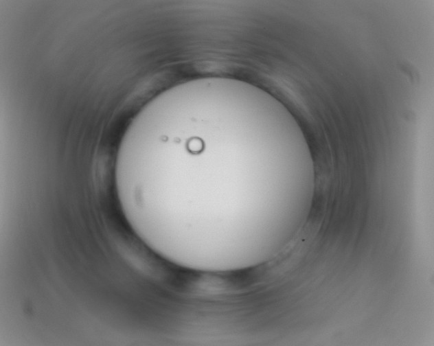 X0000114240171200910231531