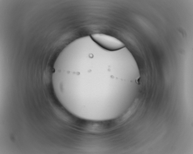 X0000114240174200910231531
