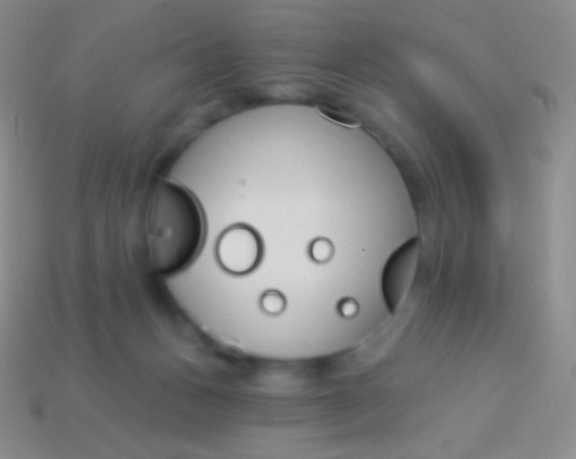 X0000114240175200910231531