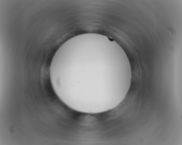 X0000114240180200910231532