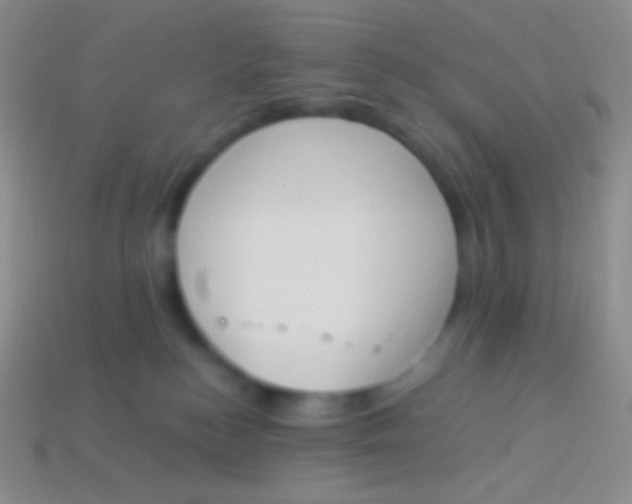 X0000114240184200910231532