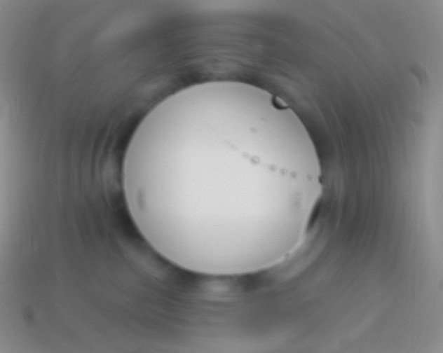 X0000114240187200910231532