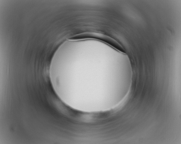 X0000114240190200910231532
