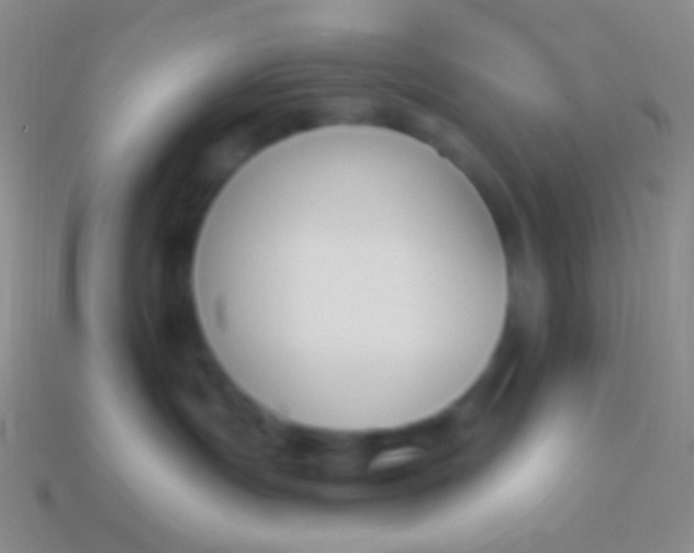 X0000114240191200910231532