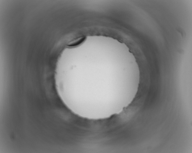 X0000114240192200910231532