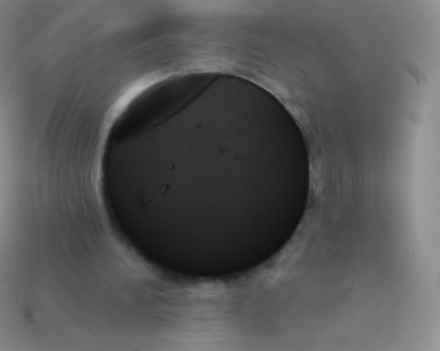 X0000114240196200910231531