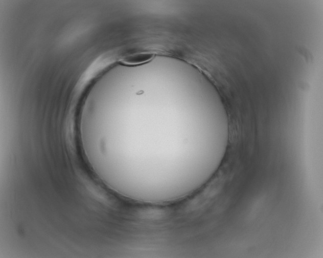 X0000114240198200910231531