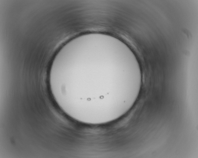 X0000114240201200910231531