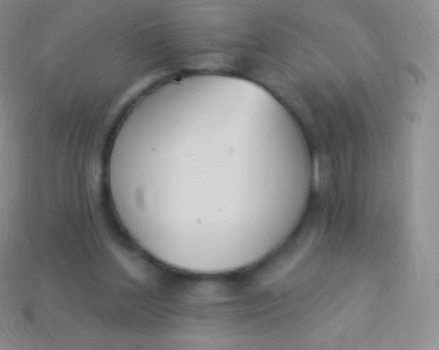 X0000114240204200910231531