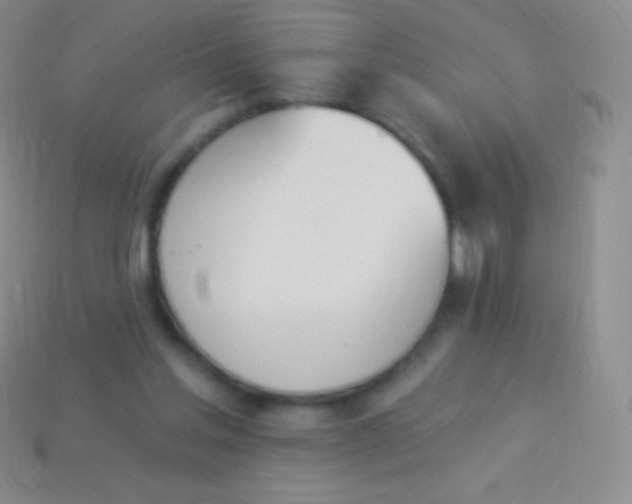 X0000114240205200910231531