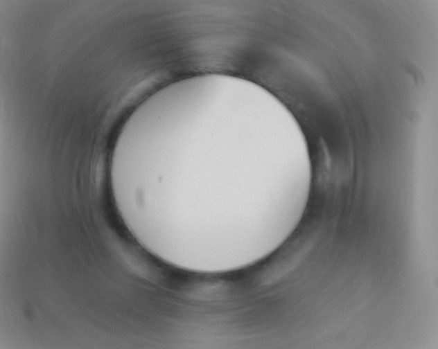 X0000114240206200910231531
