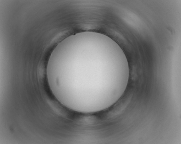 X0000114240210200910231531