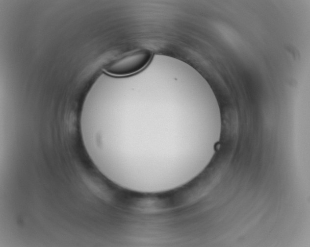 X0000114240212200910231531
