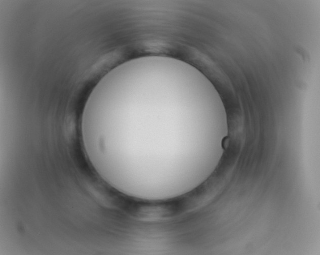X0000114240213200910231531