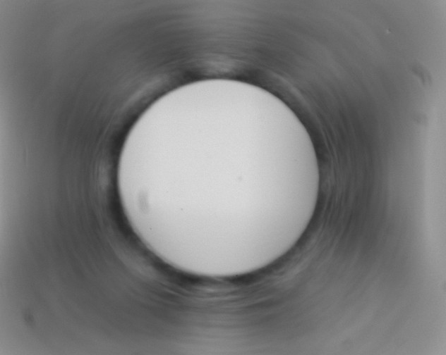X0000114240215200910231531
