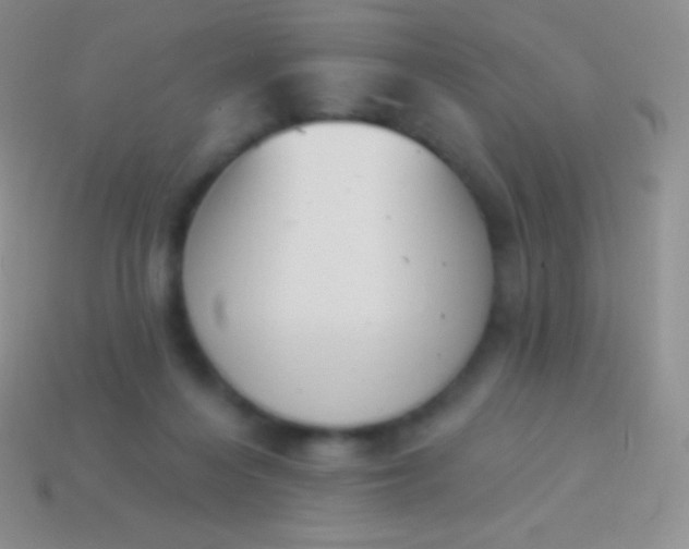 X0000114240216200910231531