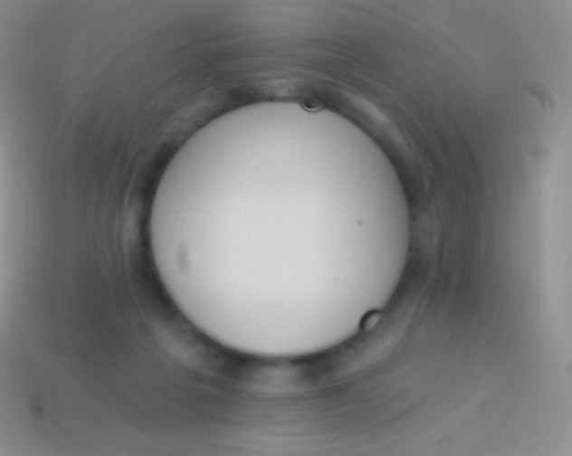 X0000114240217200910231531
